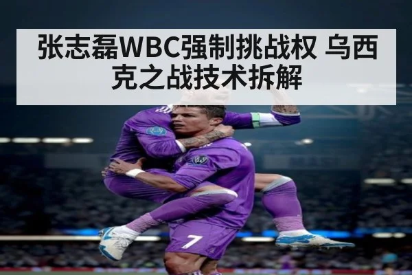 张志磊WBC强制挑战权 乌西克之战技术拆解