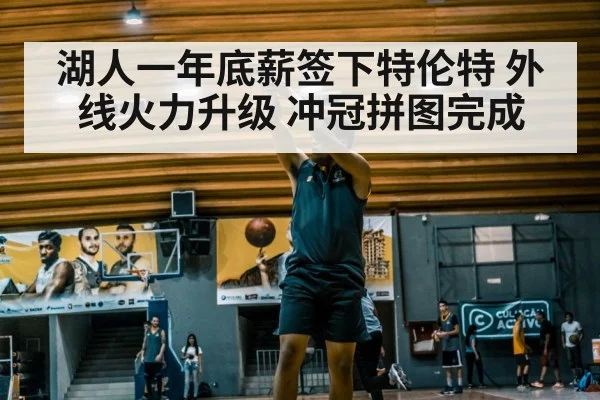 湖人一年底薪签下特伦特 外线火力升级 冲冠拼图完成